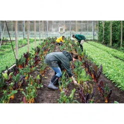 Botas Dunlop Snugboot Craftsman Impermeable 12 Botas Dunlop Snugboot Craftsman Impermeable -Leopard Almacenar botas dunlop snugboot craftsman impermeable 4