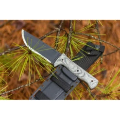 Condor Crotalus 16 Condor Crotalus -Leopard Almacenar condor crotalus 6