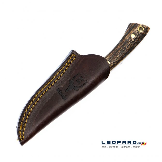 Muela Colibri Asta 7 Muela Colibri Asta - Imagen 5