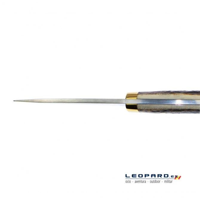 Muela Colibri Asta 8 Muela Colibri Asta - Imagen 6