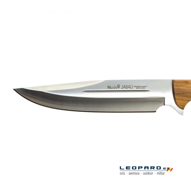 Muela Jabalí 21 Olivo 5 Muela Jabalí 21 Olivo - Imagen 3