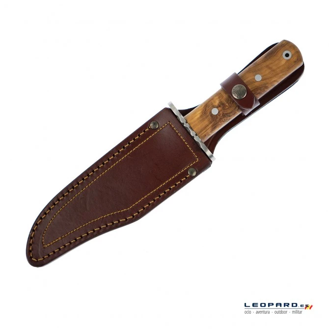 Nieto Caza Mayor 11043 Olivo 5 Nieto Caza Mayor 11043 Olivo - Imagen 3