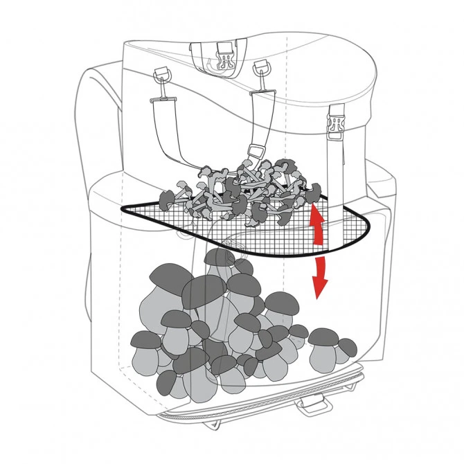 Mochila Para Recoger Setas Marsupio FOREST 50 L 6 Mochila Para Recoger Setas Marsupio FOREST 50 L - Imagen 4