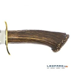 Muela Bowie BW-24S Asta De Ciervo Con Roseta 12 Muela Bowie BW-24S Asta De Ciervo Con Roseta -Leopard Almacenar muela bowie bw 24s asta de ciervo con roseta 3