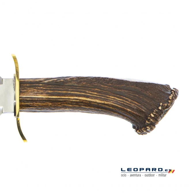 Muela Bowie BW-24S Asta De Ciervo Con Roseta 6 Muela Bowie BW-24S Asta De Ciervo Con Roseta - Imagen 4