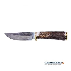 Muela Braco-11-DAM.A -Leopard Almacenar muela braco 11 dama 1