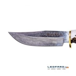 Muela Braco-11-DAM.A -Leopard Almacenar muela braco 11 dama 2