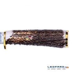 Muela Braco-11-DAM.A -Leopard Almacenar muela braco 11 dama 3