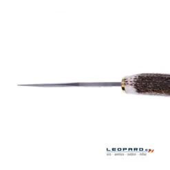 Muela Braco-11-DAM.A -Leopard Almacenar muela braco 11 dama 4