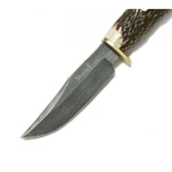 Muela Braco-11-DAM.A -Leopard Almacenar muela braco 11 dama 7