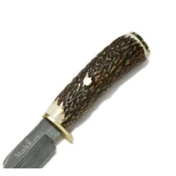 Muela Braco-11-DAM.A -Leopard Almacenar muela braco 11 dama 8