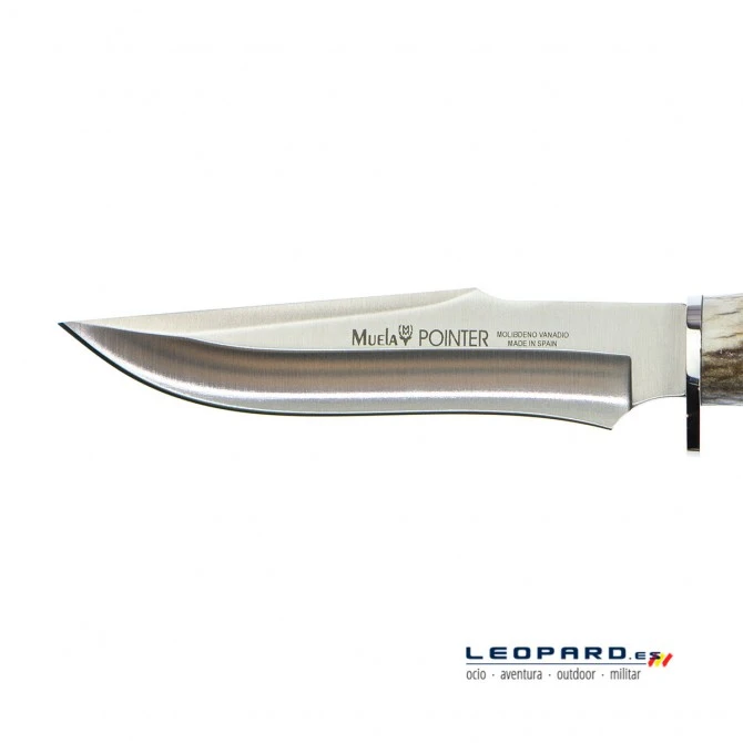 Muela Pointer-13A Asta De Ciervo Y Latón 5 Muela Pointer-13A Asta De Ciervo Y Latón - Imagen 3