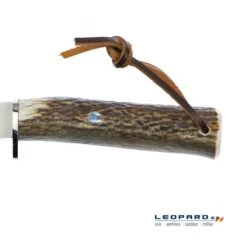 Muela Pointer-13A Asta De Ciervo Y Latón 13 Muela Pointer-13A Asta De Ciervo Y Latón -Leopard Almacenar muela pointer 13a asta de ciervo y laton 3