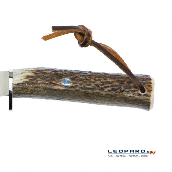 Muela Pointer-13A Asta De Ciervo Y Latón 6 Muela Pointer-13A Asta De Ciervo Y Latón - Imagen 4