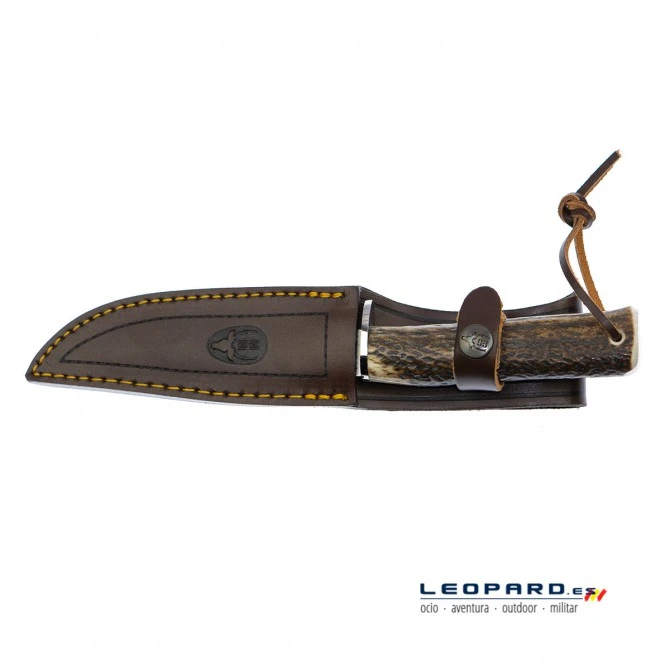 Muela Pointer-13A Asta De Ciervo Y Latón 8 Muela Pointer-13A Asta De Ciervo Y Latón - Imagen 6