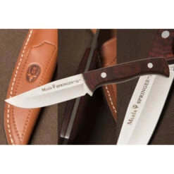 Muela SPRINGER-11R 7 Muela SPRINGER-11R -Leopard Almacenar muela springer 11r 1