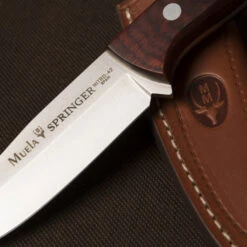 Muela SPRINGER-11R 8 Muela SPRINGER-11R -Leopard Almacenar muela springer 11r 2