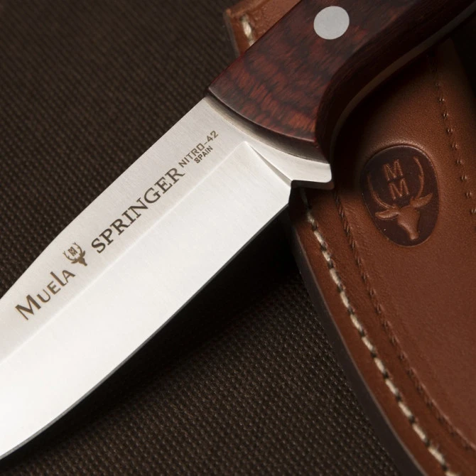 Muela SPRINGER-11R 5 Muela SPRINGER-11R - Imagen 3