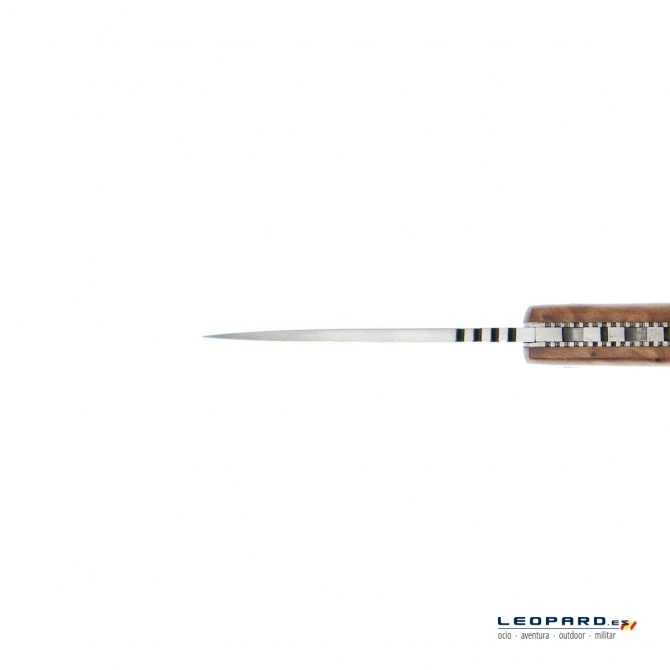 Nieto Campaña Bloqueo Thuya 158-S 7 Nieto Campaña Bloqueo Thuya 158-S - Imagen 5