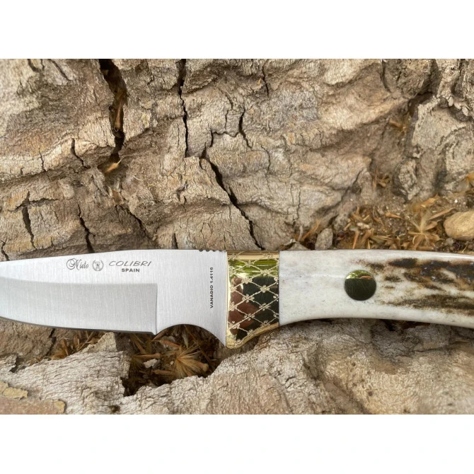 Nieto Colibrí Asta De Ciervo 4 Nieto Colibrí Asta De Ciervo - Imagen 2