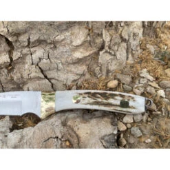 Nieto Colibrí Asta De Ciervo 9 Nieto Colibrí Asta De Ciervo -Leopard Almacenar nieto colibri asta de ciervo 3