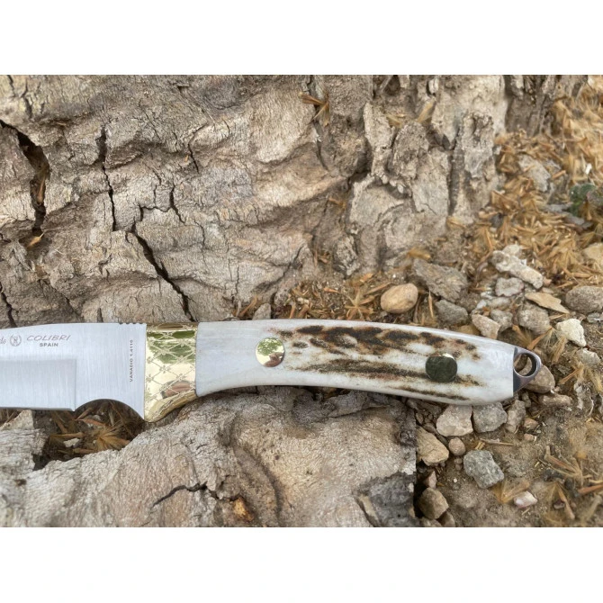 Nieto Colibrí Asta De Ciervo 6 Nieto Colibrí Asta De Ciervo - Imagen 4