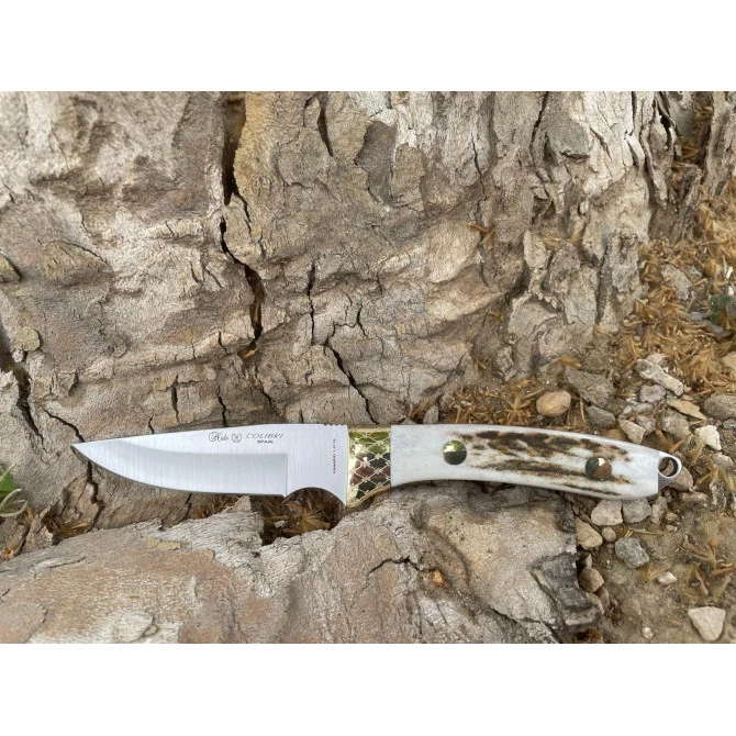 Nieto Colibrí Asta De Ciervo 3 Nieto Colibrí Asta De Ciervo