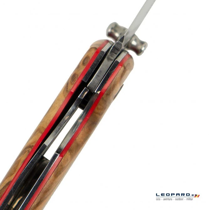 Nieto Mountain Olivo 8 Nieto Mountain Olivo - Imagen 6