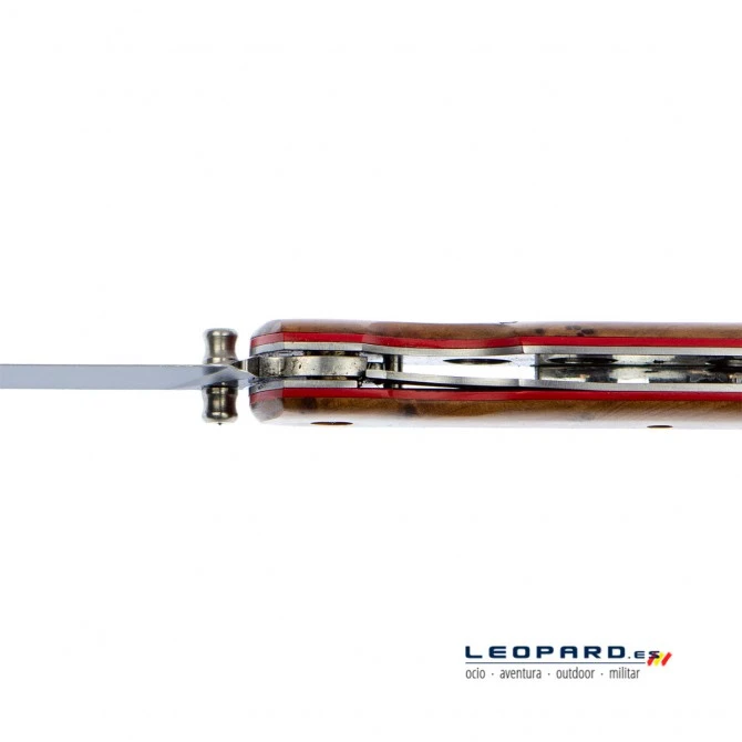 Nieto Mountain Tuya 7 Nieto Mountain Tuya - Imagen 5