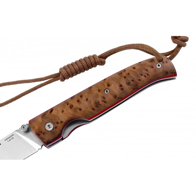 Nieto Mountain Tuya 10 Nieto Mountain Tuya - Imagen 8