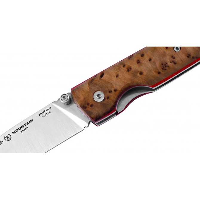 Nieto Mountain Tuya 12 Nieto Mountain Tuya - Imagen 10