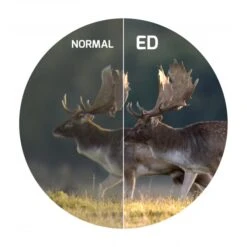 Telescopio Terrestre Delta Optical Titanium 50ED 19 Telescopio Terrestre Delta Optical Titanium 50ED -Leopard Almacenar telescopio terrestre delta optical titanium 50ed 8