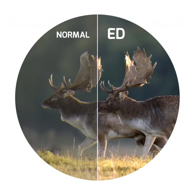 Telescopio Terrestre Delta Optical Titanium 50ED 11 Telescopio Terrestre Delta Optical Titanium 50ED - Imagen 9