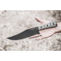 Tops Prather War Bowie 27 Tops Prather War Bowie -Leopard Almacenar tops prather war bowie 8