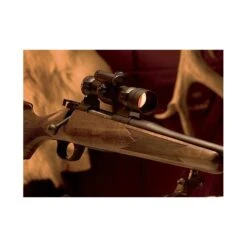 Visor Aimpoint 9000 SC 2 MOA -Leopard Almacenar visor aimpoint 9000 sc 2 moa 6